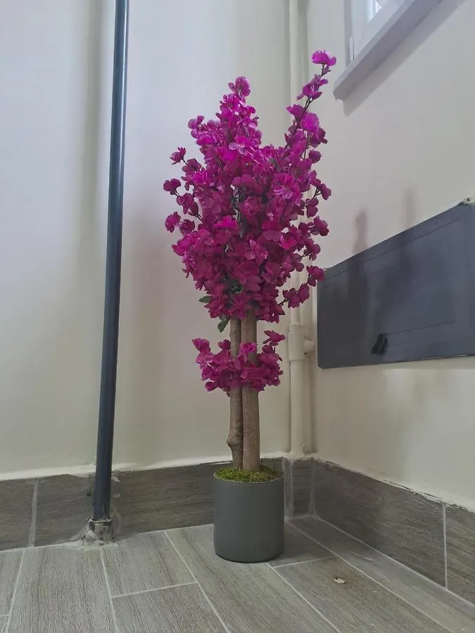 Taksim Nida Flats Apartment Istanbul Turkey